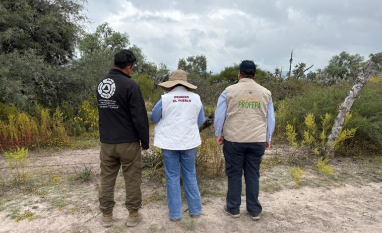 Semarnath Activa Protocolo de Conservación Tras Reporte de Avistamiento de Felino Silvestre en San Agustín Tlaxiaca
