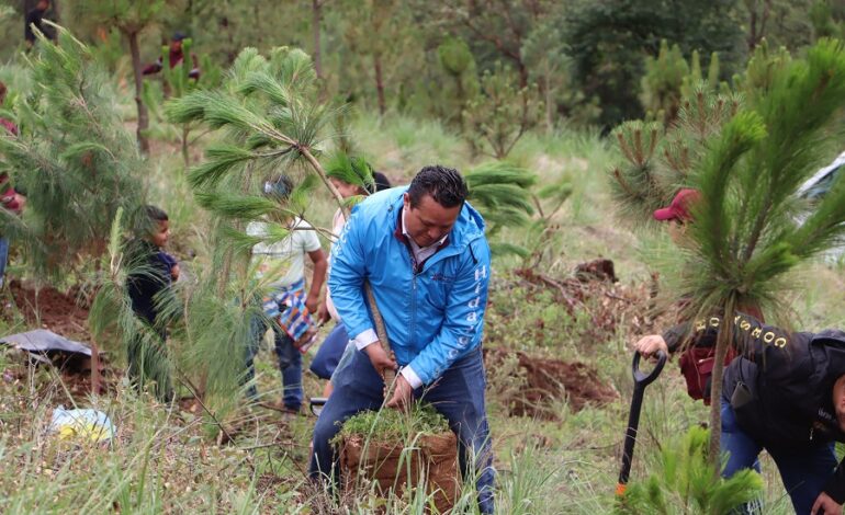 Semarnath y Ayuntamiento de Pachuca invitan a participar en la creación del primer refugio climático urbano de Hidalgo