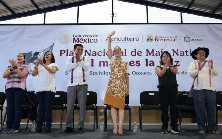 El Maíz Es La Raíz de México; El Objetivo Es Conservar La Semilla y Generar Bienestar: Presidenta Claudia Sheinbaum Entrega Apoyos Del Programa A Sembradores De Oaxaca